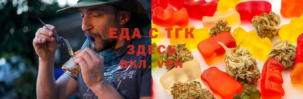 гашик Кодинск