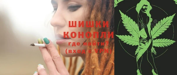 гашик Кодинск