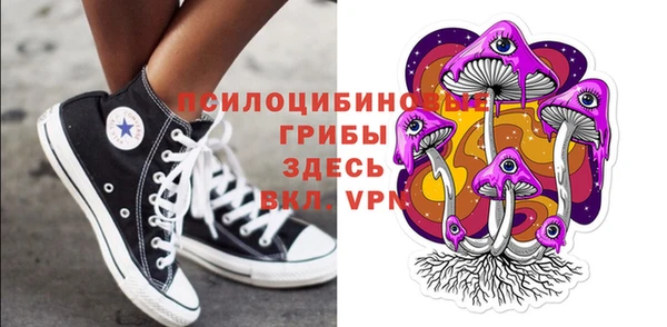 гашик Кодинск