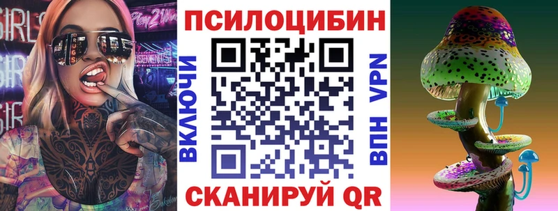 Псилоцибиновые грибы GOLDEN TEACHER  Купить где  Андреаполь 